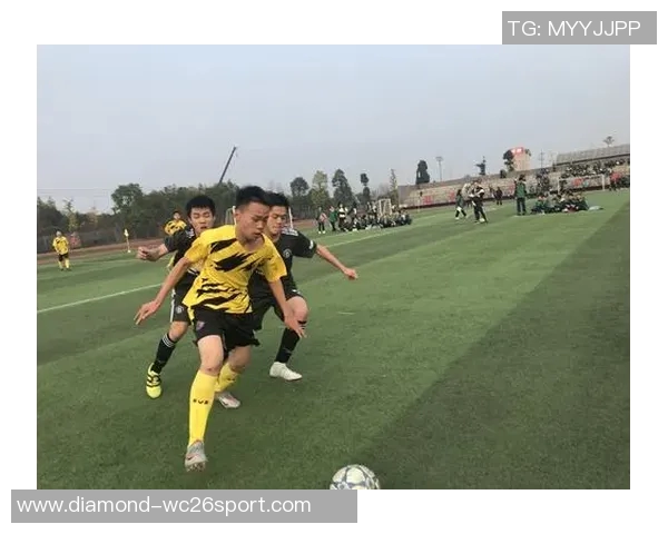 巴西足球魂的传承与荣耀探索天下足球的激情与梦想
